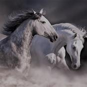 Whispering Spirits